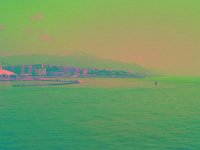 IMGP2609 edited (Medium)